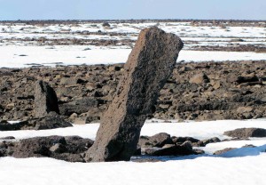 Frost heave turns boulders over on a blockfield on the Ulu Peninsula, James Ross Island