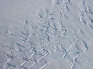 img_7230