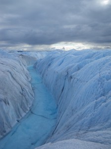 The dark streaks on this Greenland ice is predominantly surface algae. (ph. J Cook)
