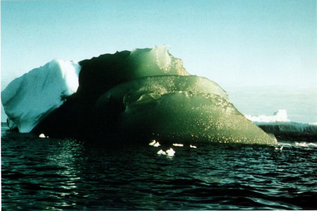 A green iceberg in the Weddell Sea